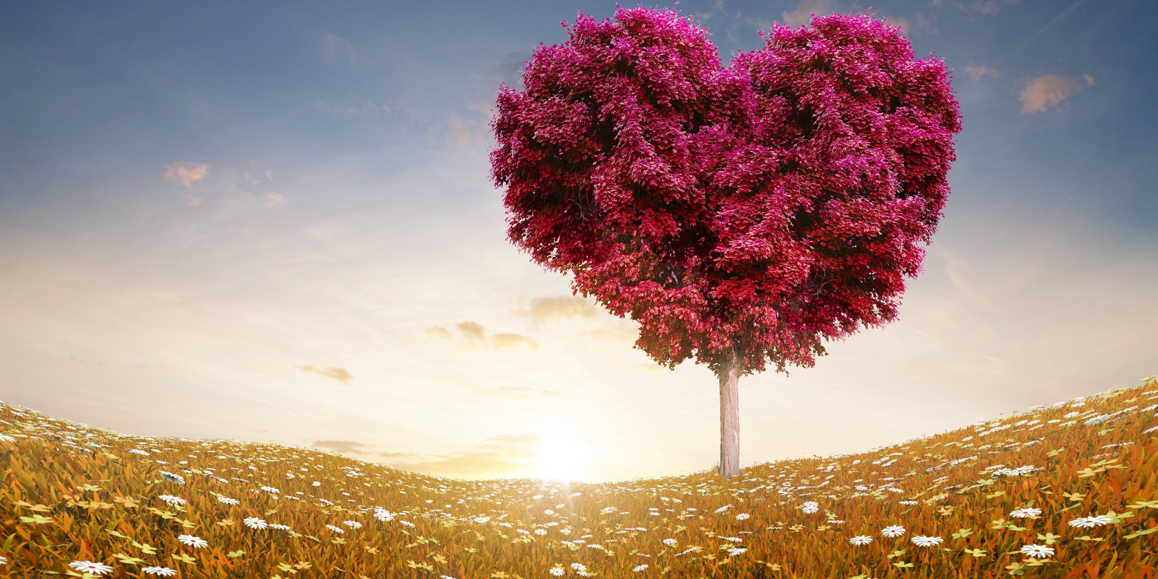 f6e2090244795b47818f4804a00c9a0d